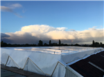 Scaffold encapsulation to facilitate asbestos insulation removal. Gallery Thumbnail