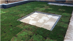 M-Tray® green roof system Gallery Thumbnail