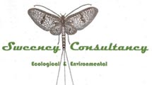 Sweeney Consultancy