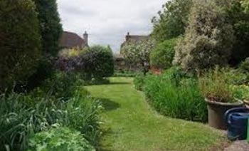 Johns Gardening Services Image