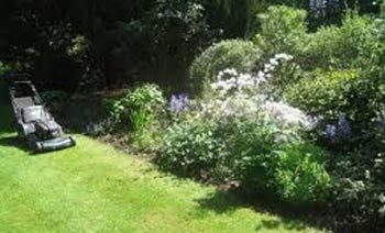 Johns Gardening Services Image